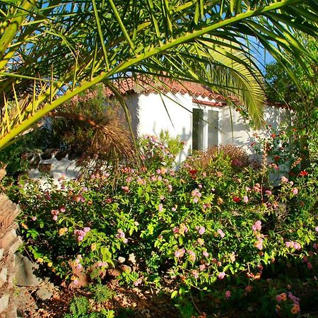 Finca Cosmos เอลปาโซ ภายนอก รูปภาพ