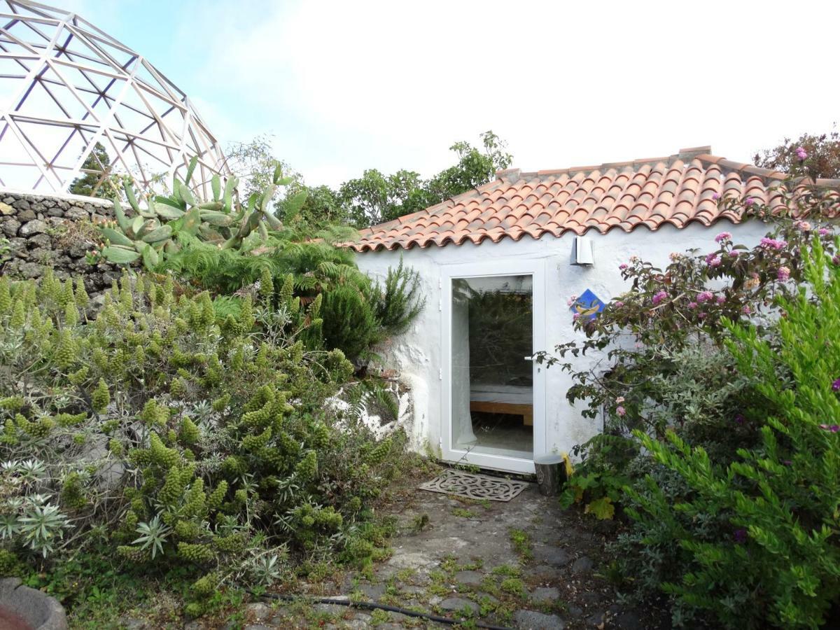 Finca Cosmos เอลปาโซ ภายนอก รูปภาพ
